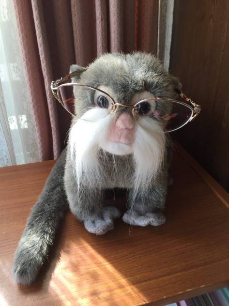 monkey glasses